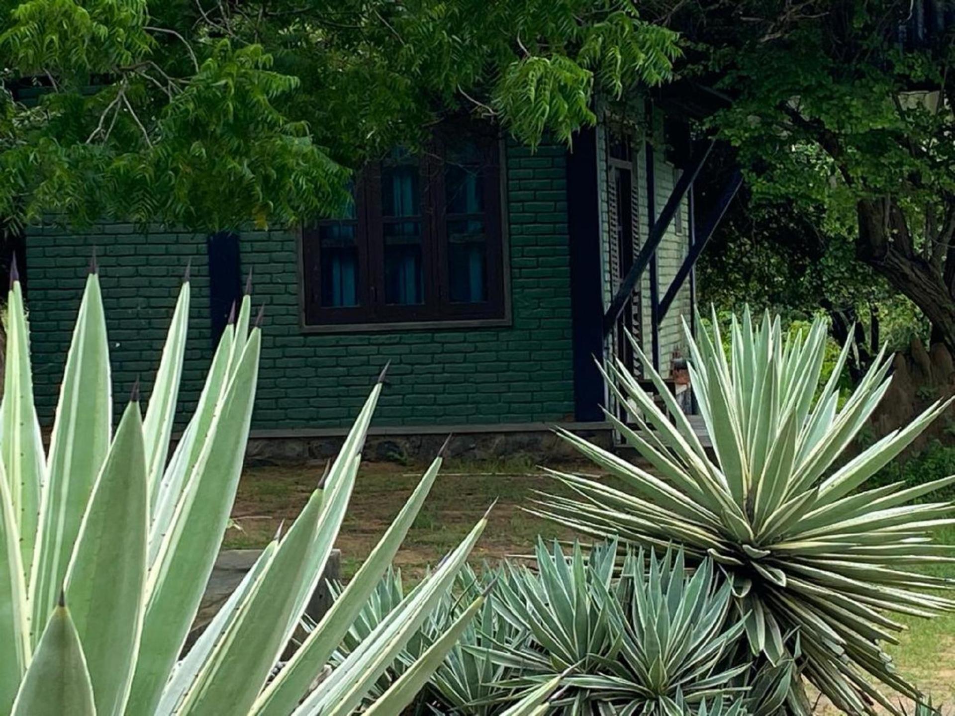 Yala Ying Yang Hostel & Camping Kültér fotó