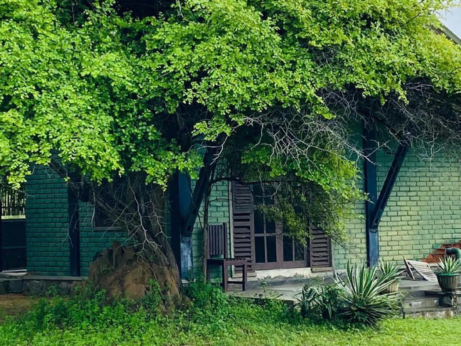 Yala Ying Yang Hostel & Camping Kültér fotó