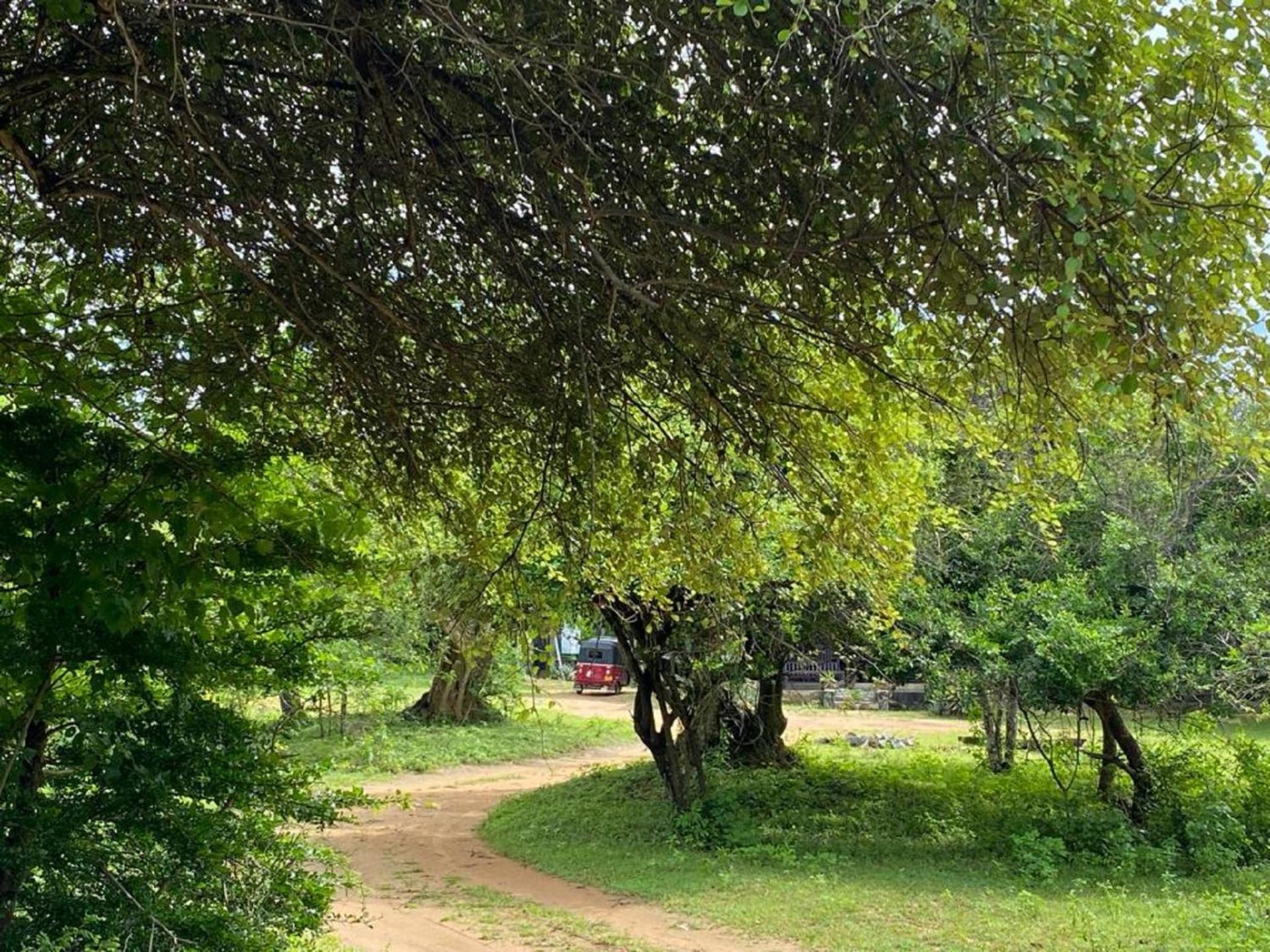 Yala Ying Yang Hostel & Camping Kültér fotó