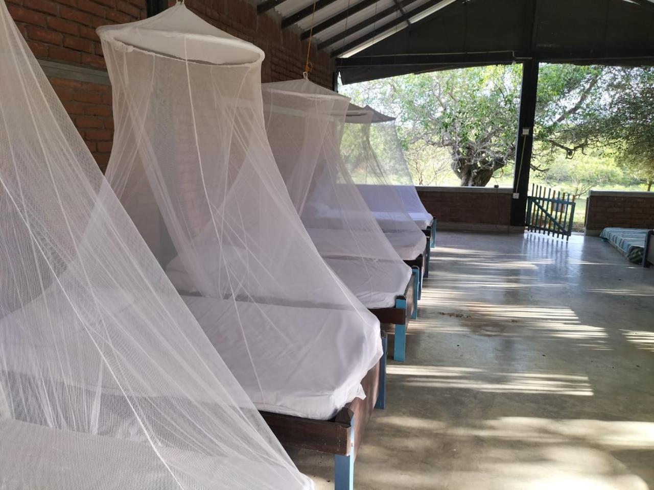 Yala Ying Yang Hostel & Camping Kültér fotó