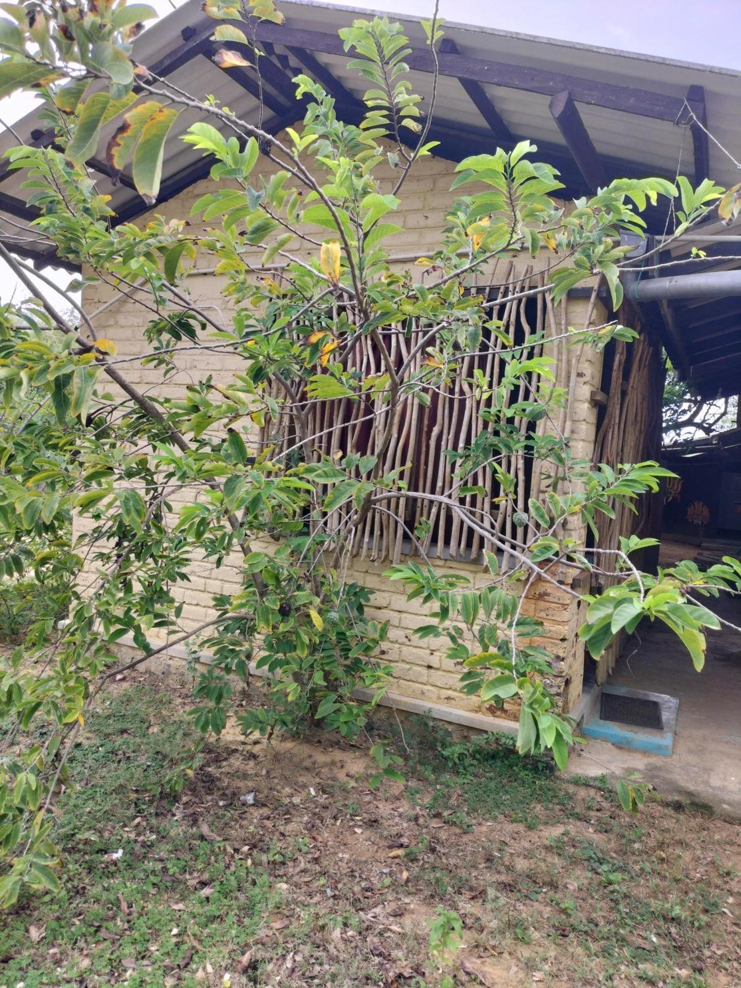 Yala Ying Yang Hostel & Camping Kültér fotó